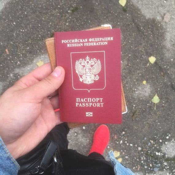 прописка в Нововоронеже